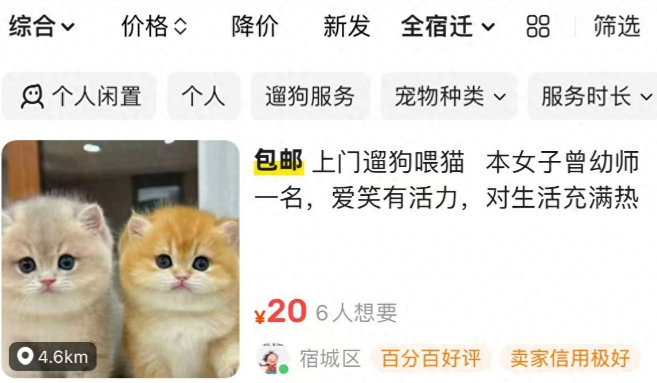 宠物寄养、上门喂养……“五一”临近 宠物托管需求旺盛