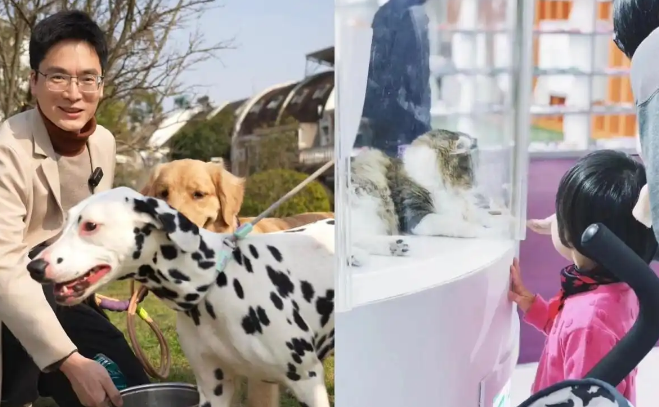 把宠物当人养，“它经济”如何撬动千亿市场？