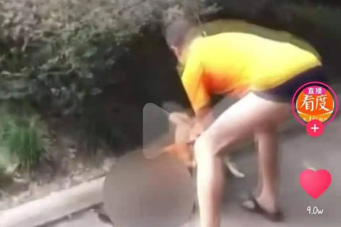 “放任”柴犬咬死猫咪引网友声讨