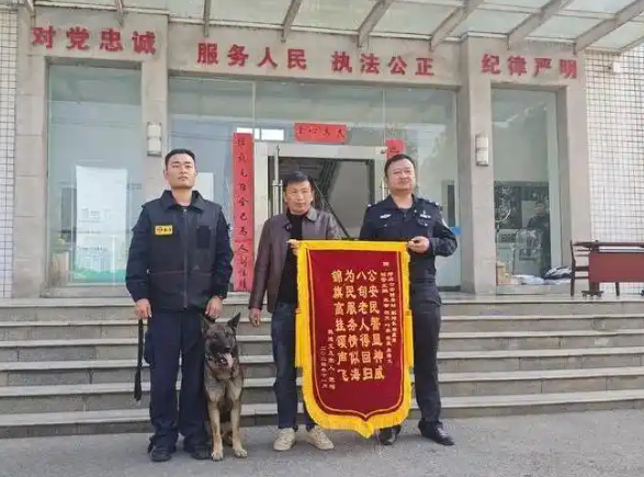 它3岁完成了16次搜救