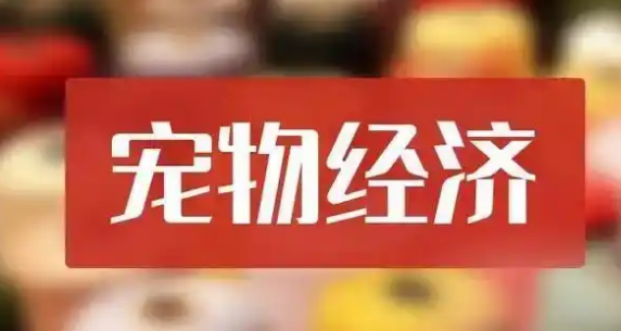 宠物经济大爆发：宠物医疗与智能用品的狂欢盛宴