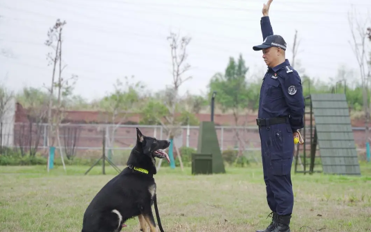 警营最美 “铲屎官” 王振纲：爱犬胜过爱自己