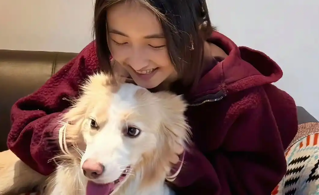 张子枫戏里戏外都收养了这只小狗，将温暖延续