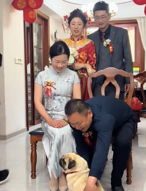 给新人拍全家福时，狗狗也跑过来！