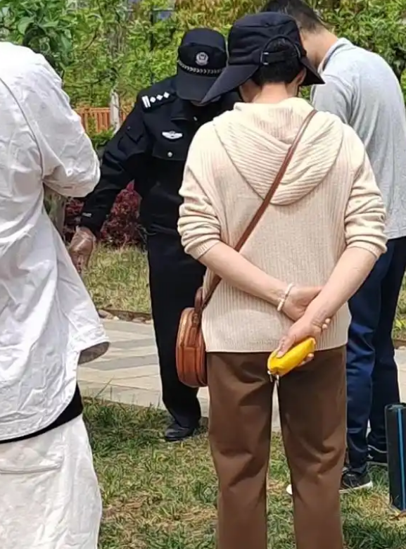 云南一公园疑有人恶意投毒，多只宠物狗死亡！警方介入