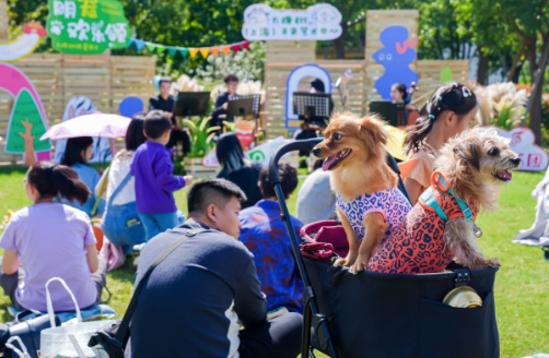 为小猫小狗奏乐，上海首个萌宠专场音乐会亮相九棵树