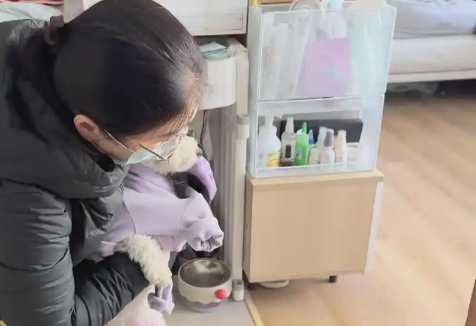 小萌宠撬动大经济 宠物消费迎热潮