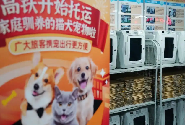 “养儿式”养宠，成消费新趋势