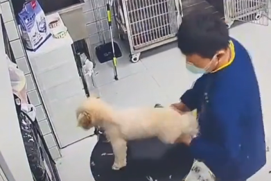 淮安宠物店员工摔打小狗，事件引发网友热议