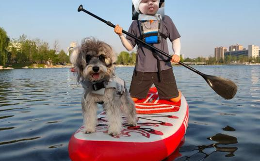 “宠友集”杭州市首届在地宠物生活节盛大开启