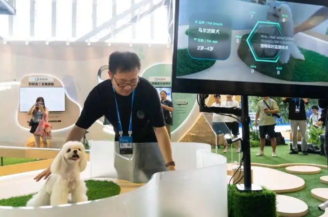 刷脸识狗！“毛孩子”们也有自己的“实名认证”了