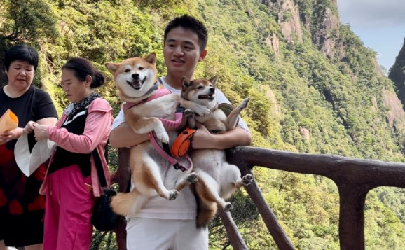 初夏就要“携宠游”~上饶这些宠物友好宝地“萌”值拉满！