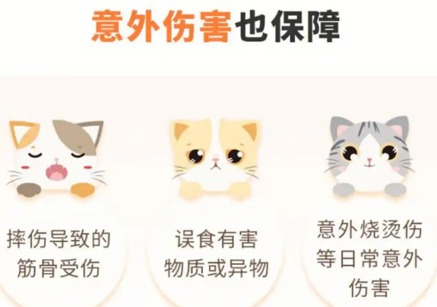 宠物经济持续升温，“毛孩子”的保险要买吗？