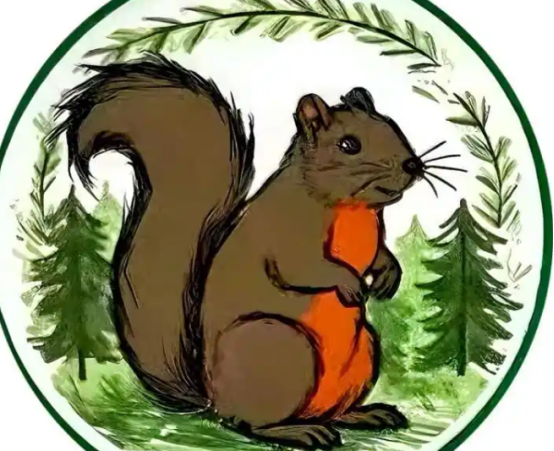 你在街头看到过小松鼠吗？随手记录