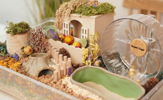 “带娃式”养宠渐成主流，细分需求为中国宠物经济增值