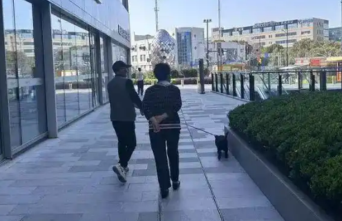 冲突频频！沪上“宠物友好空间”，为何引发“人宠矛盾”？