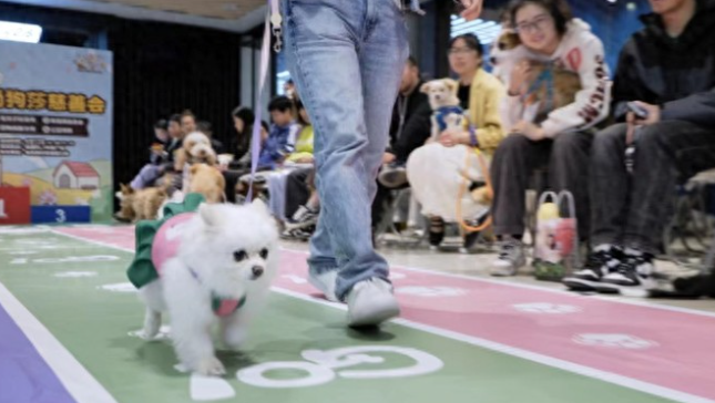 宠物经济火爆，多个宠物经济“首店”亮相