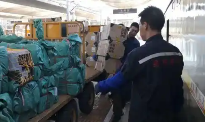 高铁宠物托运：服务创新“照亮”旅途之光