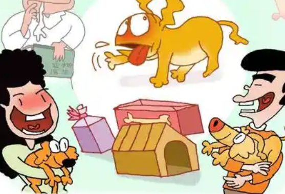 创造“友好环境” 人宠共享生活