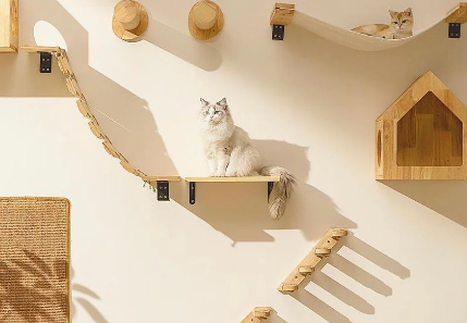 宠物用品、平价茶饮、古法黄金等成为消费者追捧的“新宠”