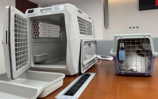 事关萌宠出行！高铁专用宠物运输箱大揭秘