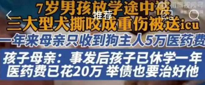 7岁男孩被3只大型犬撕咬：左耳咬掉，头皮撕裂
