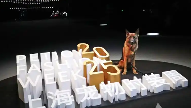 上海宠物时装周发布时尚趋势白皮书