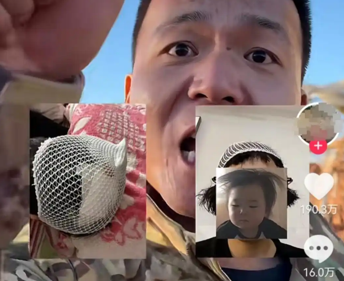 宠物狗送去驯化成网红，拿回被要求签“百万赔偿合同”