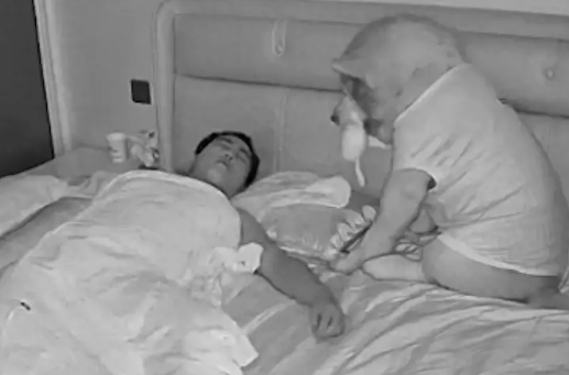 半夜网友醒来，睁眼一看发现狗狗正坐在床上盯着自己