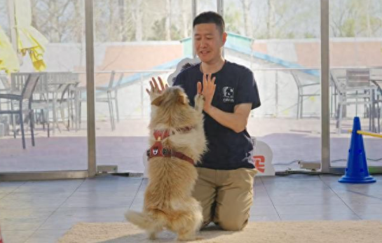 调查显示：83%的宠主认为宠物对心理健康有积极影响