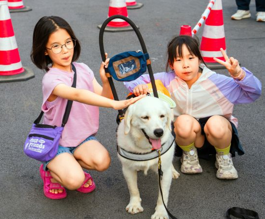 全上海现役导盲犬只有30只，另有10只有望尽快服役