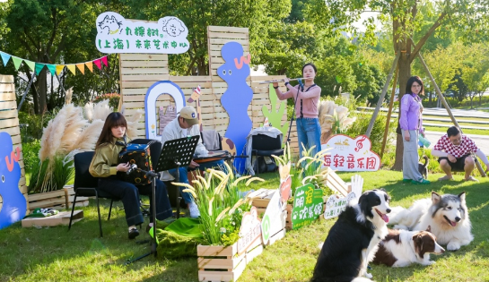 宠物友好剧院什么样？医疗辅助犬可可走进九棵树