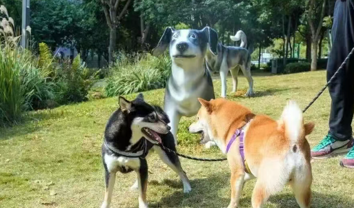 “它经济”日益兴起，深圳激发宠物消费活力