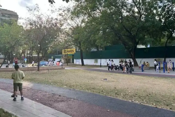 中毒宠物狗仍在增加：犬主标注防毒地图