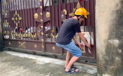 狗狗回家被卡在了门上，路人帮忙抬狗腿往里塞，这画面太好笑了！ 