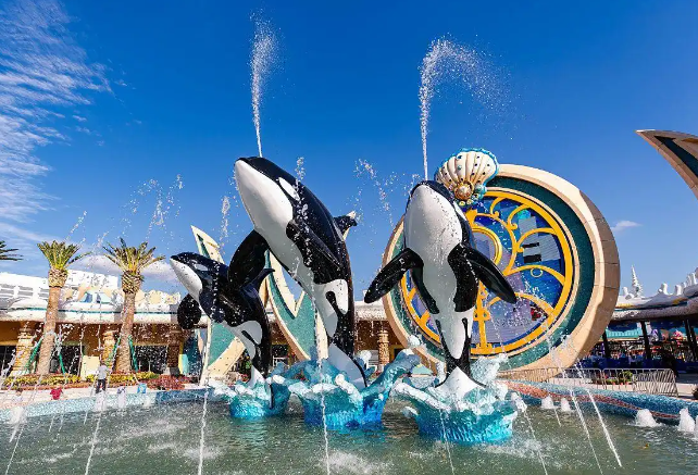 虎鲸母子和 12 只海豚被困废弃海洋公园