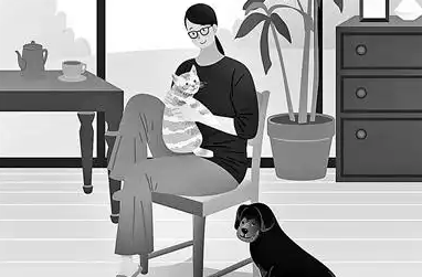 创造“友好环境” 人宠共享生活