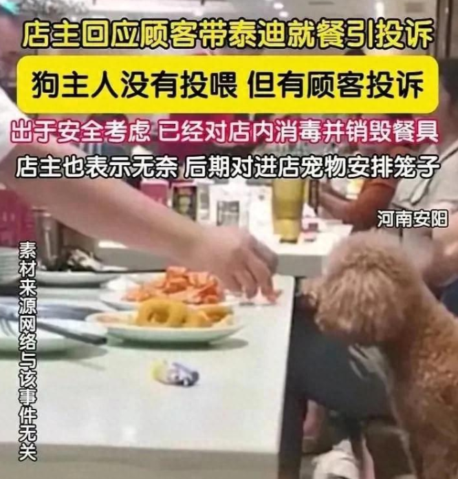 顾客带宠物狗上座吃饭，老板无奈将餐具销毁