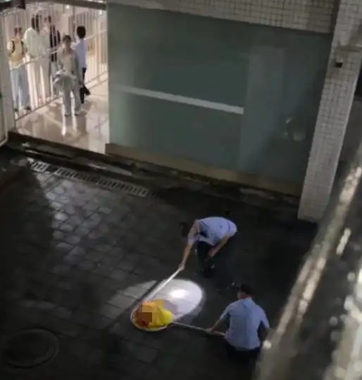 学校保安当学生面打死流浪猫？北理工回应：保安处置不当，已停职调离