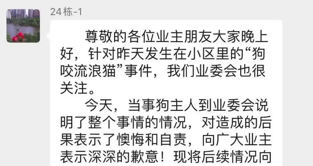 “放任”柴犬咬死猫咪引网友声讨