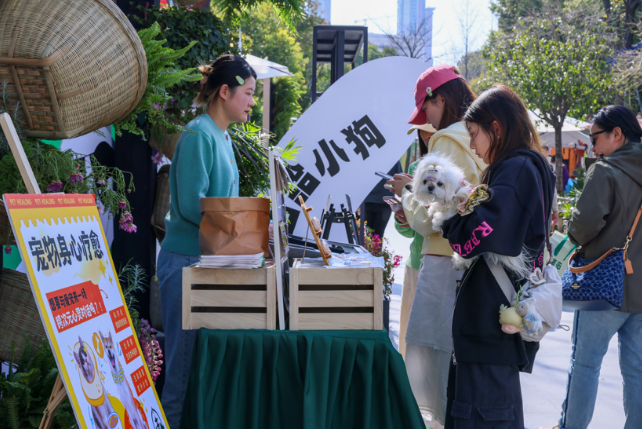 百年弄堂变身“萌友花园”，传递爱心与活力