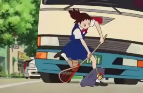 残疾猫被面馆老板娘救活后上演《猫的报恩》