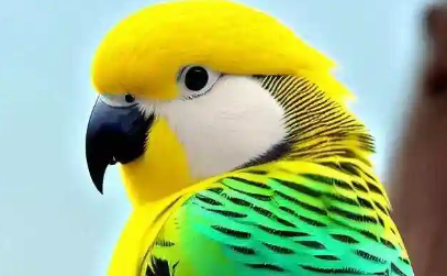 鹦鹉的智力究竟有多高？它们能和人类对话吗？