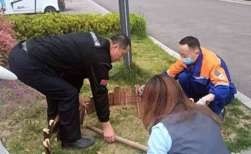 小区里有了“宠物公厕”，“毛孩子”上厕所方便啦！