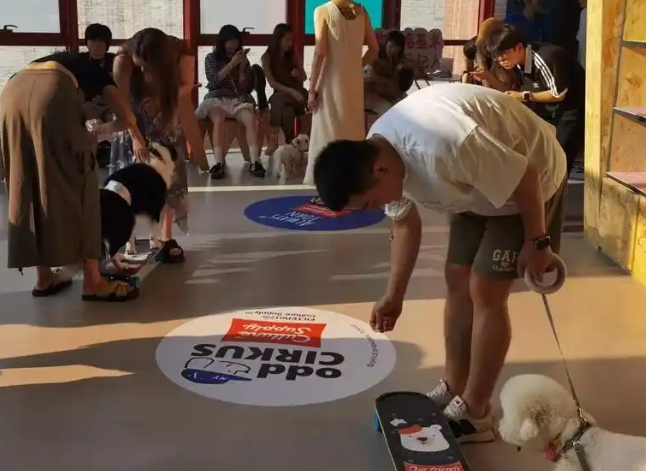 异宠医生、训犬师、宠物服装设计师……