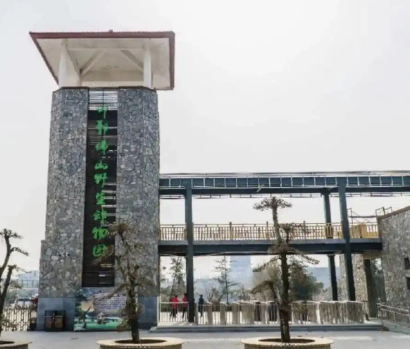 2岁黑熊出逃！动物园最新通报：开展拉网式搜寻