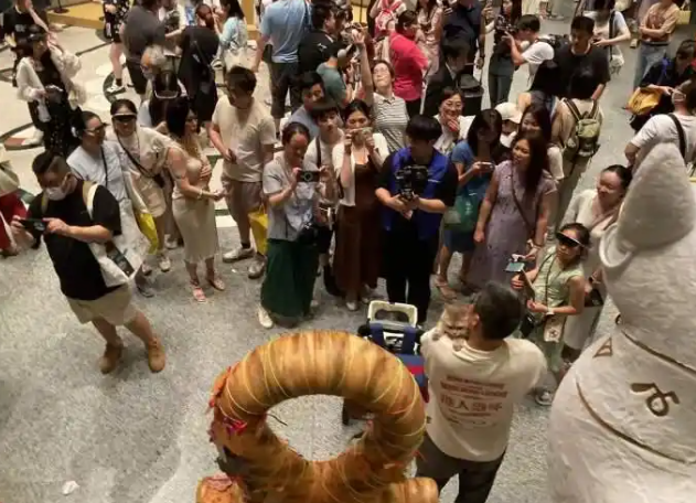 “喵星人”聚集！马未都上海观复推出“猫里猫气来白相”夜游活动