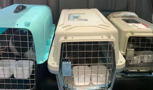 铁路试点“宠物托运”，探索社会文明新刻度