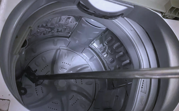 山西运城 16 楼洗衣机惊现宠物蛇：异宠管理的细节之殇