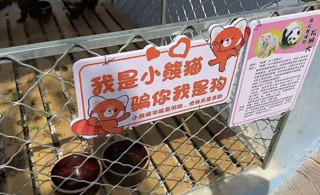 安徽一动物园回应“用染色狗扮演熊猫”：已撤走